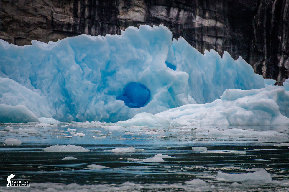 LeConte Bay Iceberg
