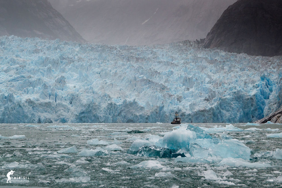 Surrounded by Ice