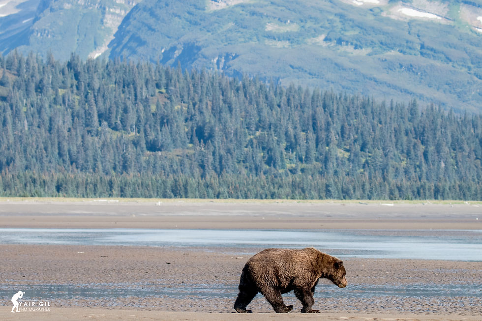 Farewell to Alaska