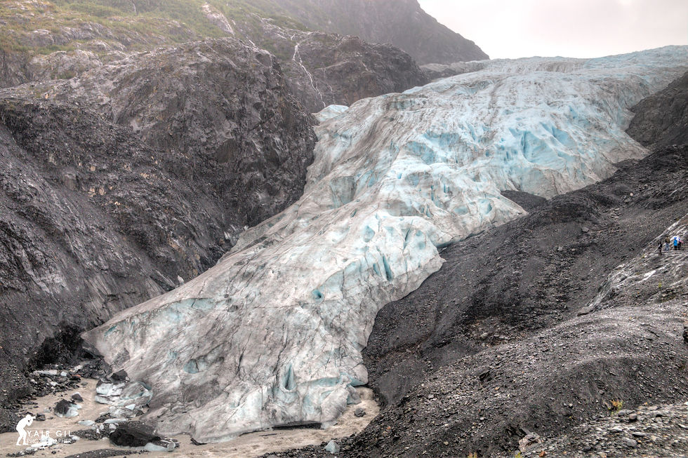Exit Glacier Up Close