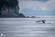 Monday, Aug. 15th - Morning - Whale Watching
