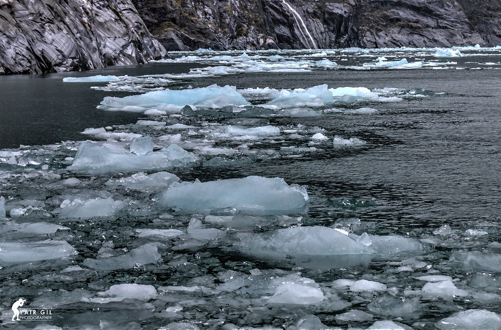 Ice in LeConte Bay