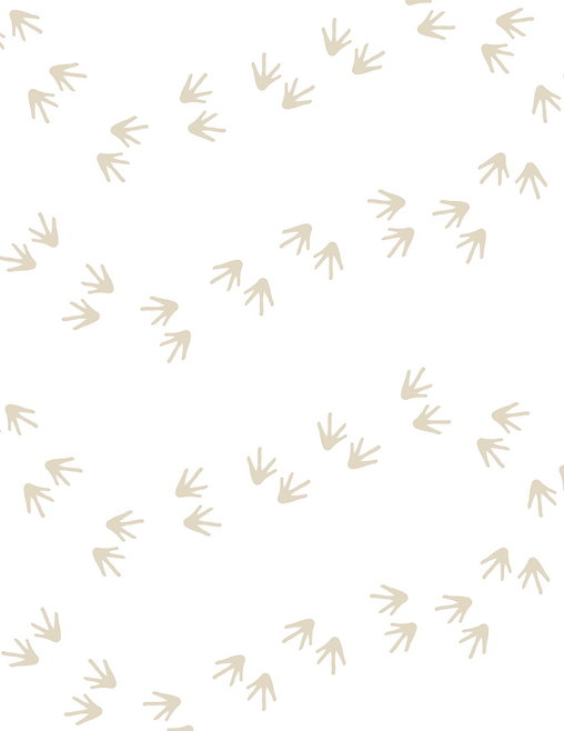 mudpuppy footprints.png