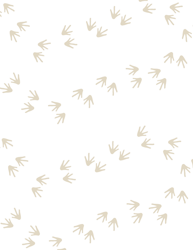 mudpuppy footprints.png