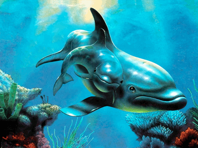 delphins