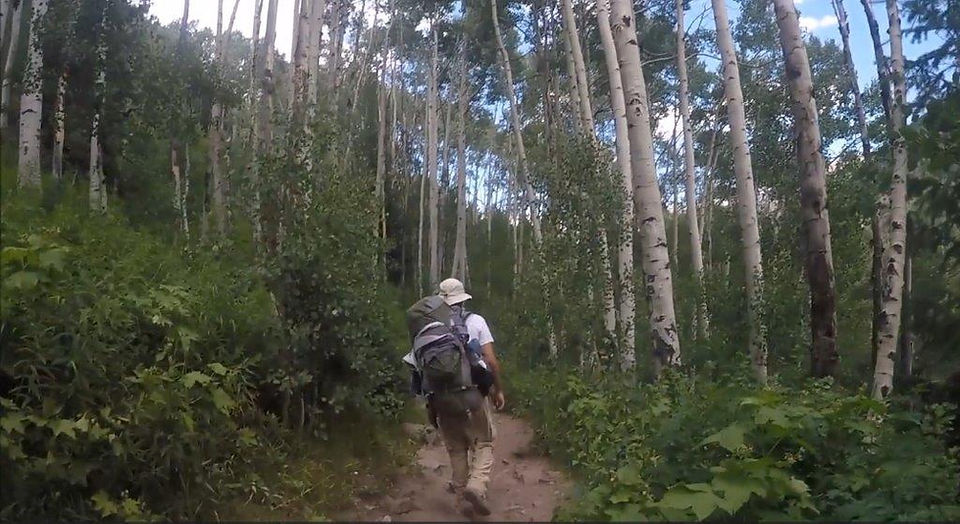 Backpack Four Pass Loop: Walking in the Aspen grove