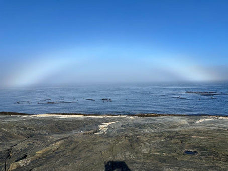 Kayak Vancouver Island: The magnificent fogbow