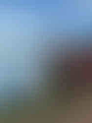 Pacific Coast Bike Route: Ruth and Oren with Golden Gate Bridge in the background