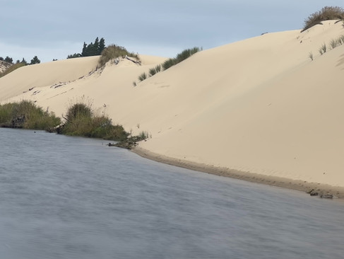 Pacific Coast Bike Route: A solitary dune between creek and ocean—where land, sand, and sea meet.