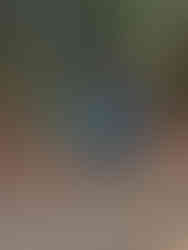 Pacific Coast Bike Route: Soaked cyclists and dripping bikes on the road from Leggett