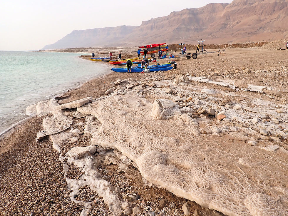 Kayak the Dead Sea: Starting point for our kayak group at a beach near Mitspe Shalem
