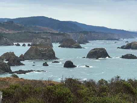 Pacific Coast Bike Route: An Epic Ride Through Dunes, Redwoods, and Fog