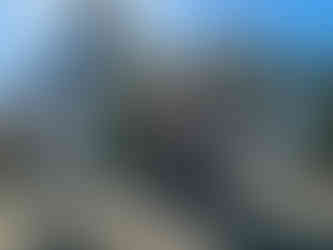 Pacific Coast Bike Route: Bandonia the Phoenix, made of trash, at Art 101