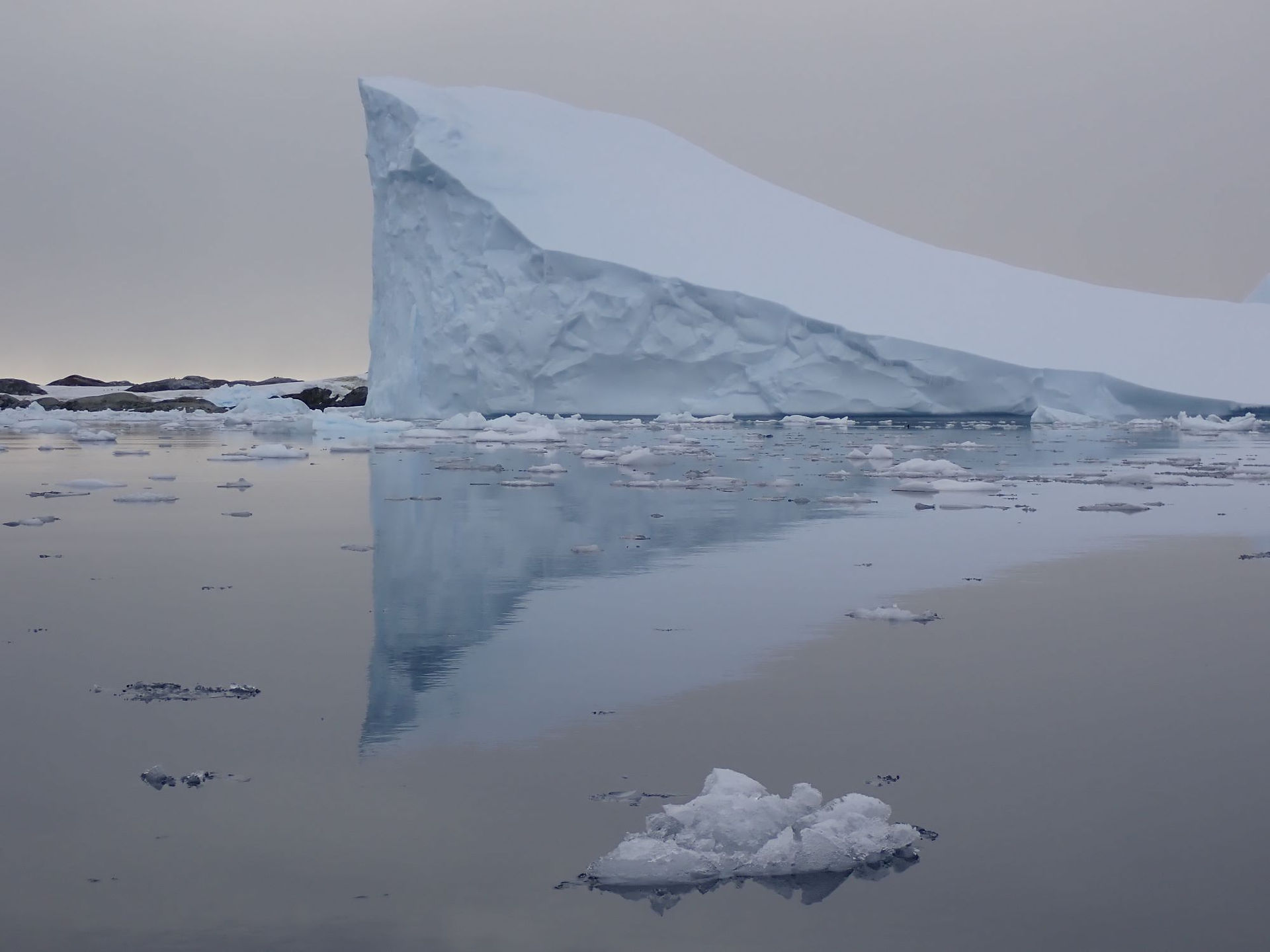 Kayak Antarctica: Giant iceberg in the calmest water, the blue of the ice reflecting  in the water.