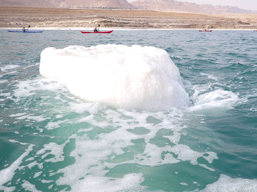 Kayak the Dead Sea: Paddling by mineral structures formed by microorganisms