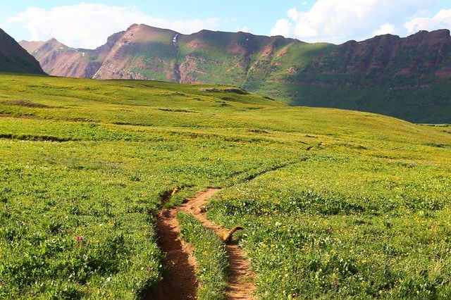 Backpack Four Pass Loop: Furry marmots racing down the trail