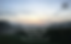 Header1_HorsmondenVineyard.png