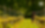 Mark_Headerimage_645px.png