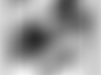 The Poetic Dimension in Architecture