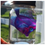 Thumbnail: Diaphonized Yellow Tang