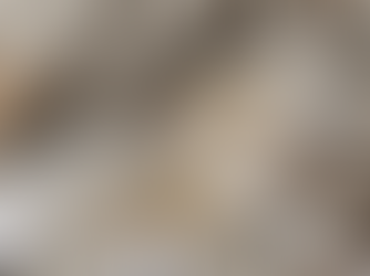 Transform Your Home with Atousa Interiors' Collaborative Approach