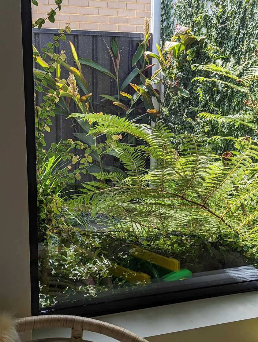 80FF9F39-DD6E-4E4C-99E4-9E0AB835D7AF