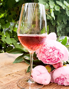 Country-vines-winery-rose.jpeg