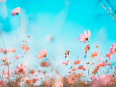 Guide: Leaving an inheritance vs gifting during your lifetime