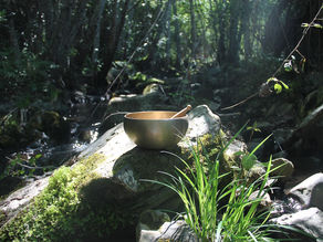 Un chemin vers une créativité épanouissante.