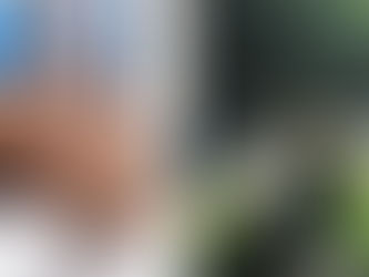 Prestations gratuites qui vous sont proposées au stand Daikomyo.