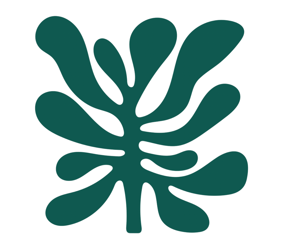 Copy of RECURSOS GRÁFICOS ISLA EXPEDITION.png