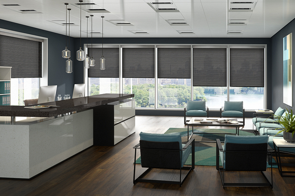 49305-solar-shades-CG17