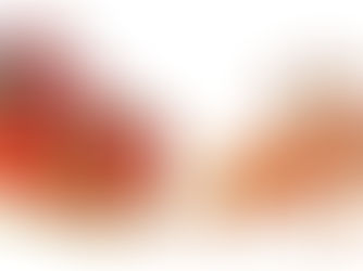 The Spirit of Santa and Christmas