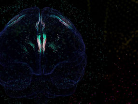 Can you have your heart and mind focused on the same thing at the same time?