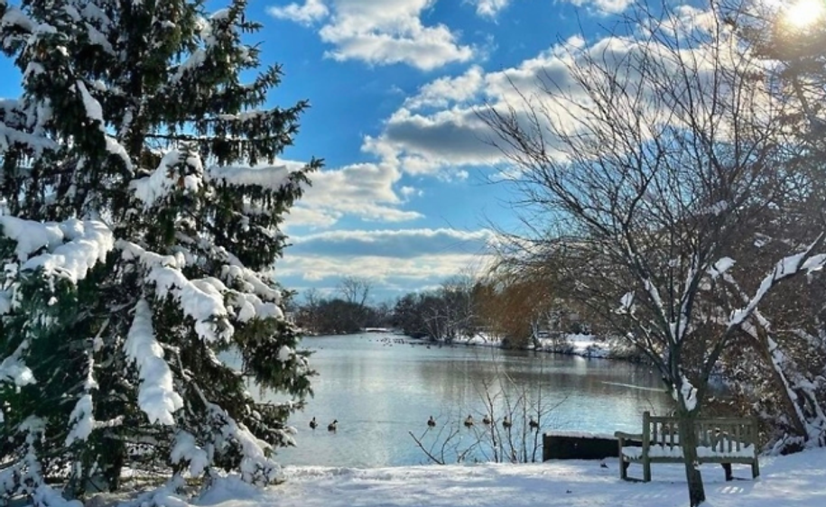 blydenburgh county park winter.png