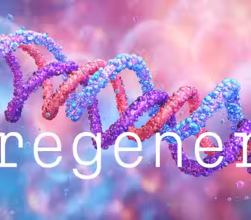 TAS27-Regenerative-69b6d6582b2bb965b70faeef9065baa9.avif