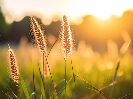 Finding Calm Amid Chaos: Regaining Control in Uncertain Times