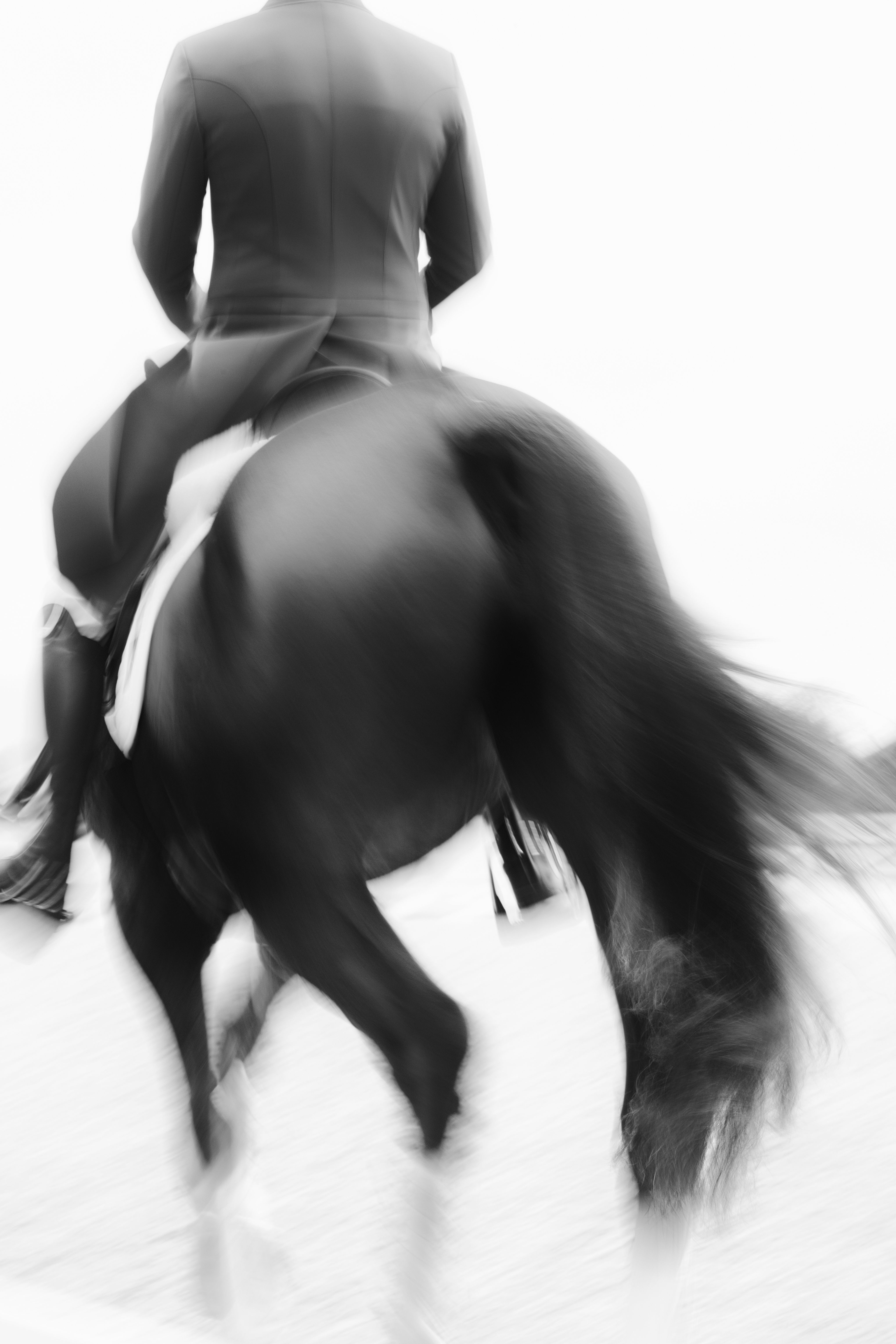 Cross Country eventing warm up Brazilian team in Chile at Pan Am Games