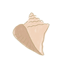 Pink shell no background.png