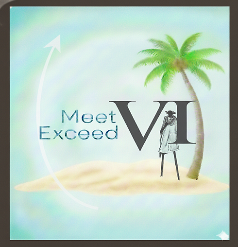 Final logo with border of Meet-Exceed VI.PNG