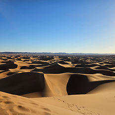 Une rivière au cœur des dunes
