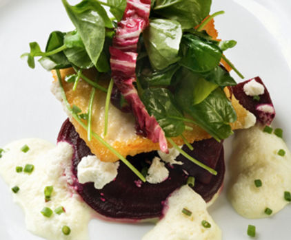 Beet Vorspeise Nahaufnahme