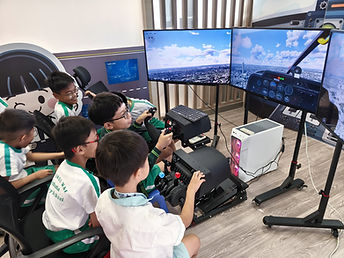 Flight Simulation Training