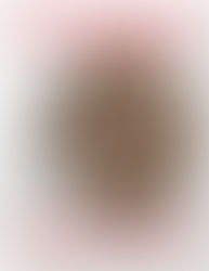 Setting Priorities to Reach Your Goals – 4 Reasons You’re Not Getting It All Done