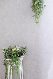 背景サンプル (13).JPG