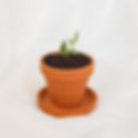 Brownie pot
