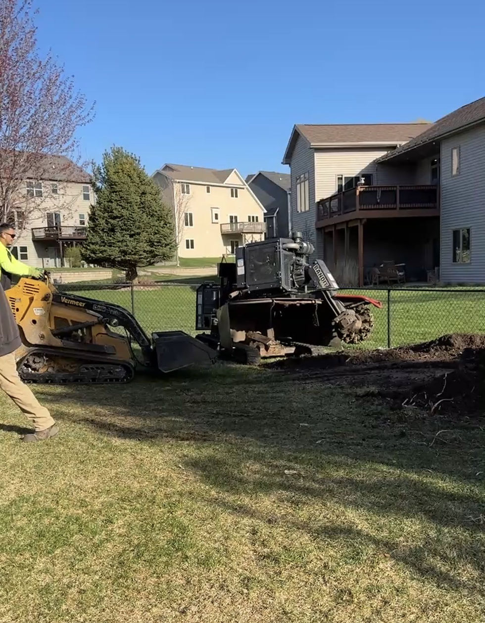 Stump Removal