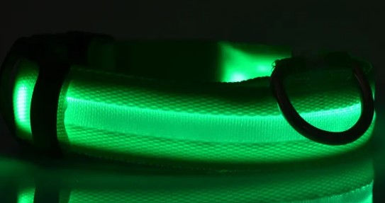Miniatura: Nylon LED Pet Luminous Collar