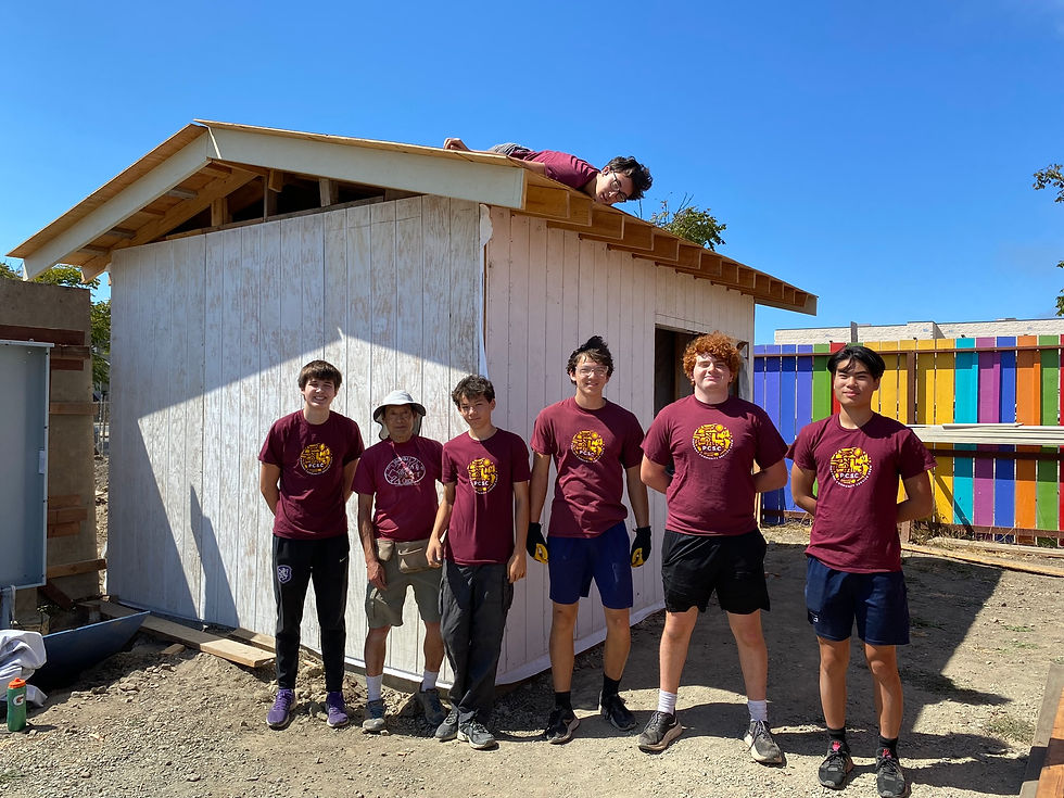 Tiny house Village (10/11)