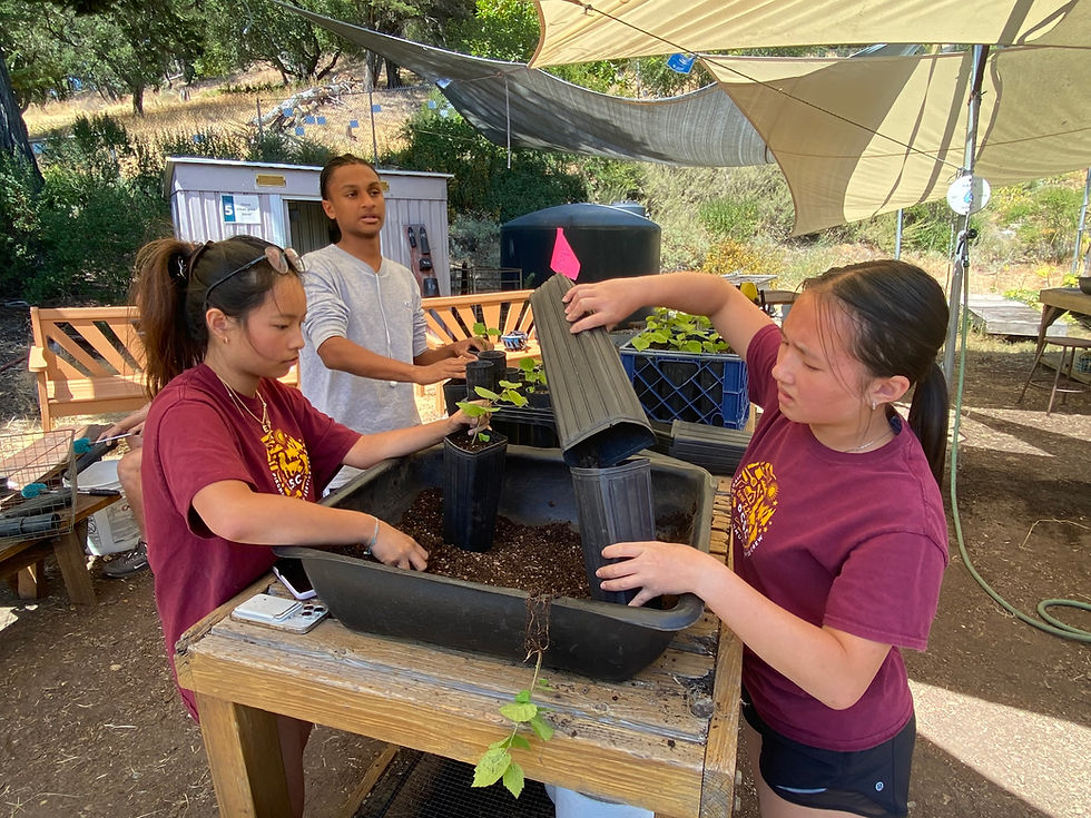 Native Plant Nursery (9/6/25)